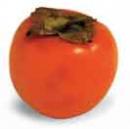 L'avatar di grefojet